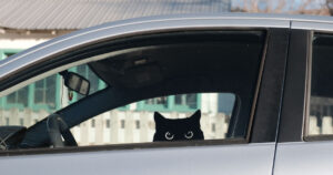 A cat sticker in a car window.